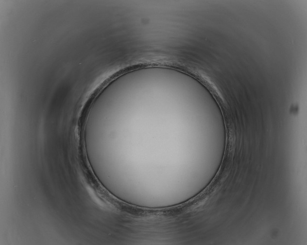 X0000093730674200710160814