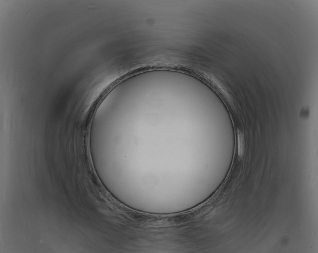 X0000093730675200710160814