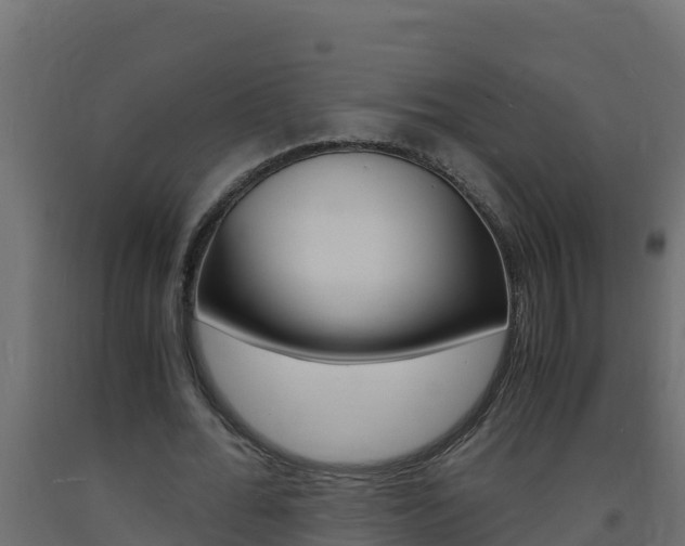 X0000093730676200710160814