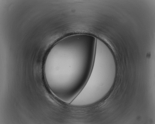 X0000093730677200710160814