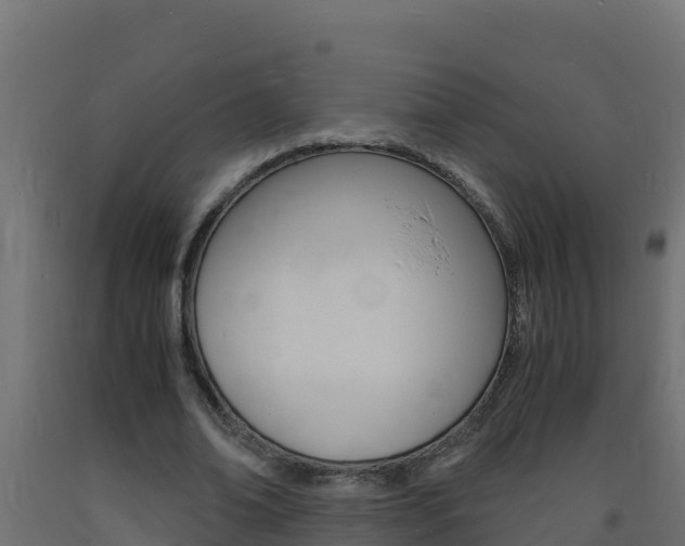 X0000093730678200710160814