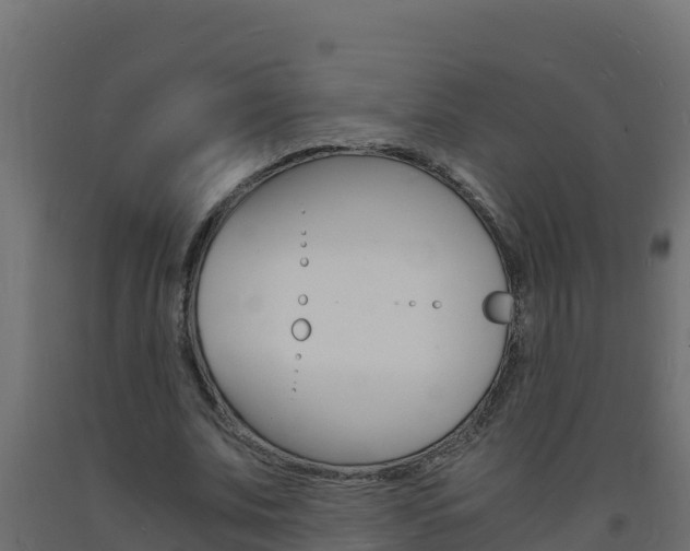 X0000093730679200710160814