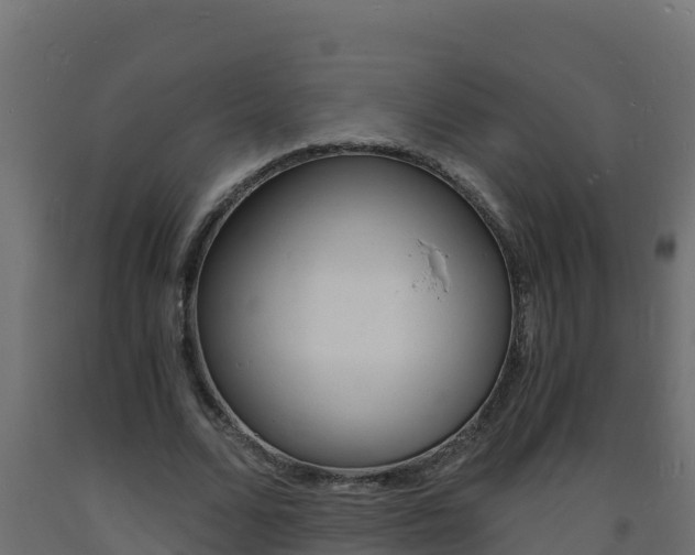 X0000093730680200710160814