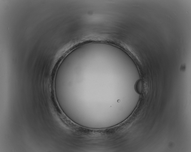 X0000093730682200710160814