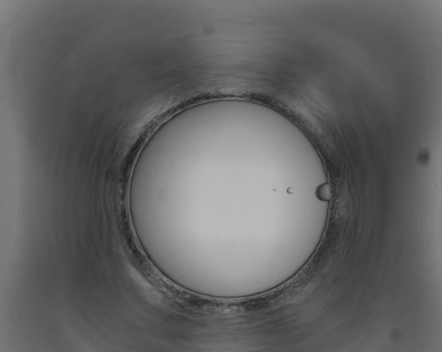 X0000093730683200710160814