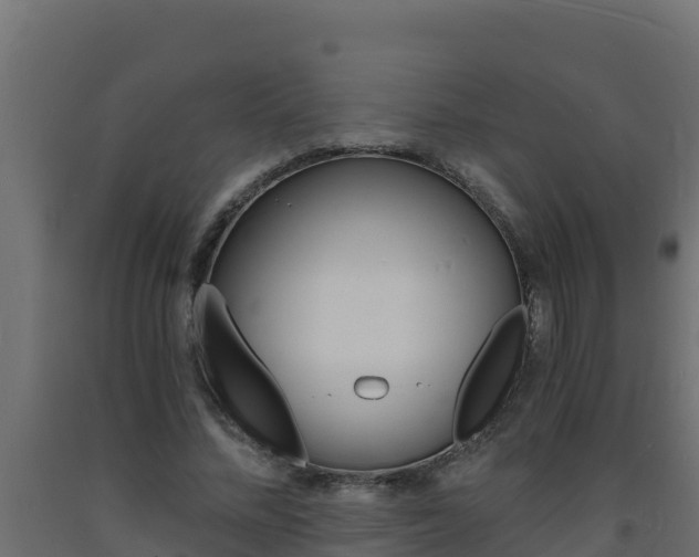 X0000093730684200710160814