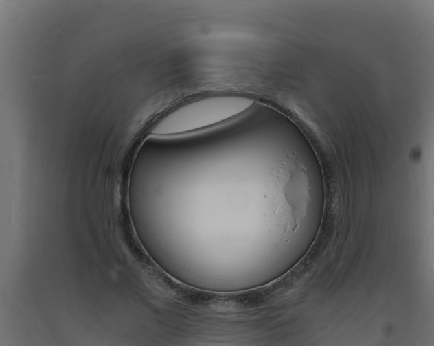 X0000093730685200710160814