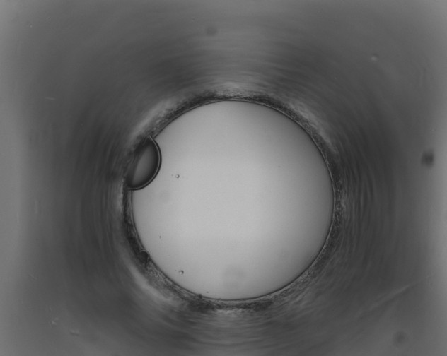 X0000093730686200710160814