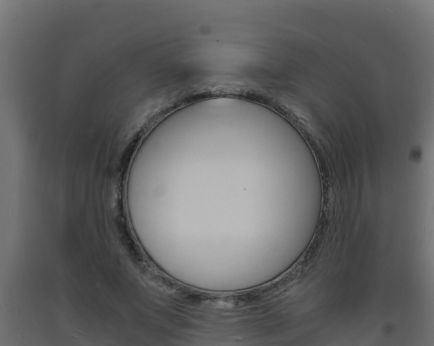 X0000093730687200710160814
