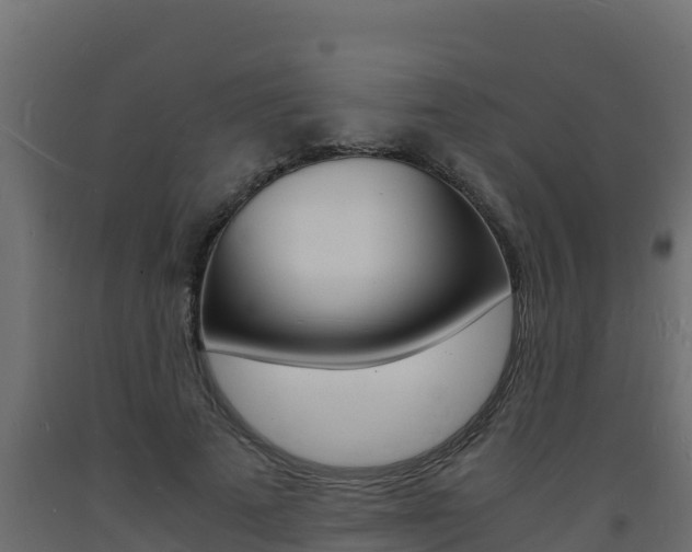 X0000093730689200710160814