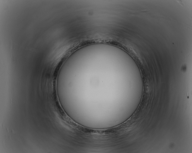 X0000093730690200710160814