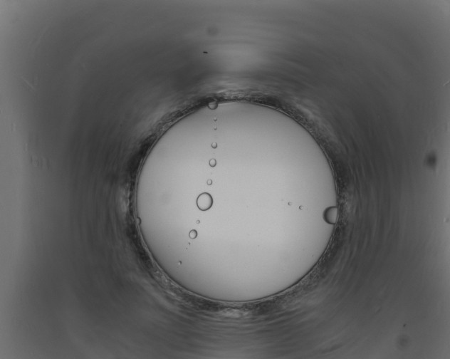X0000093730691200710160814