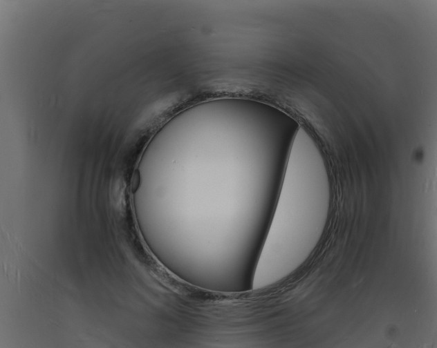 X0000093730692200710160814