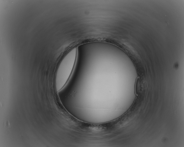 X0000093730693200710160814