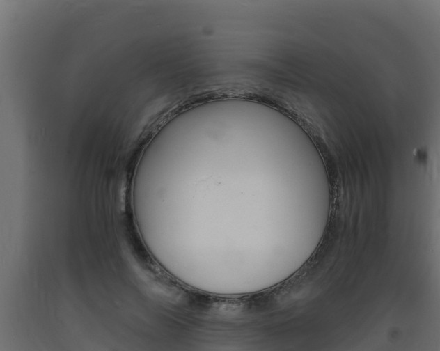 X0000093730694200710160814