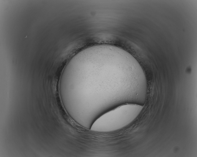 X0000093730695200710160814