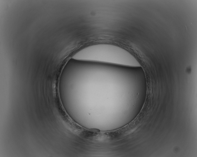 X0000093730696200710160814