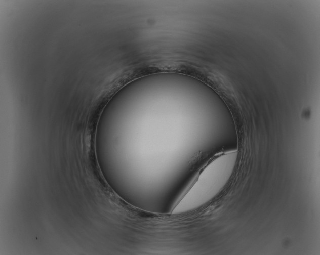 X0000093730697200710160814