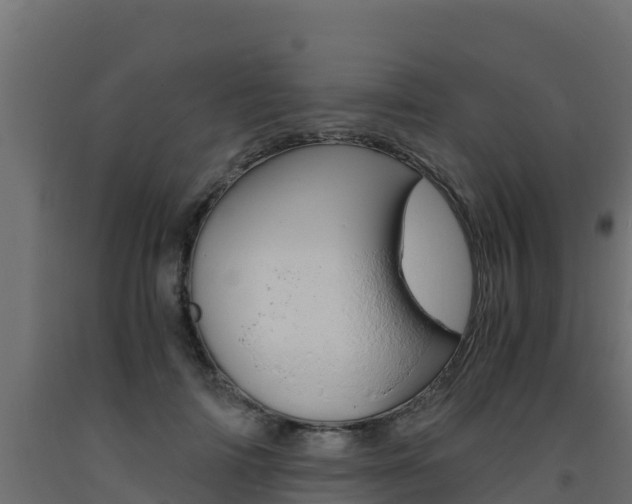 X0000093730698200710160814