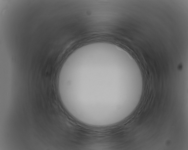 X0000093730701200710160814
