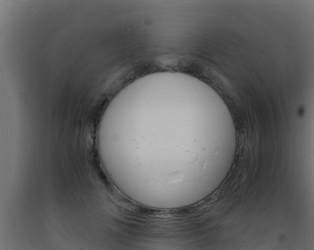 X0000093730702200710160814