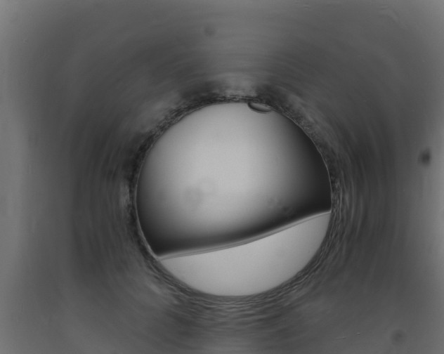 X0000093730704200710160813