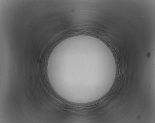 X0000093730705200710160813