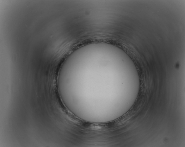 X0000093730706200710160813