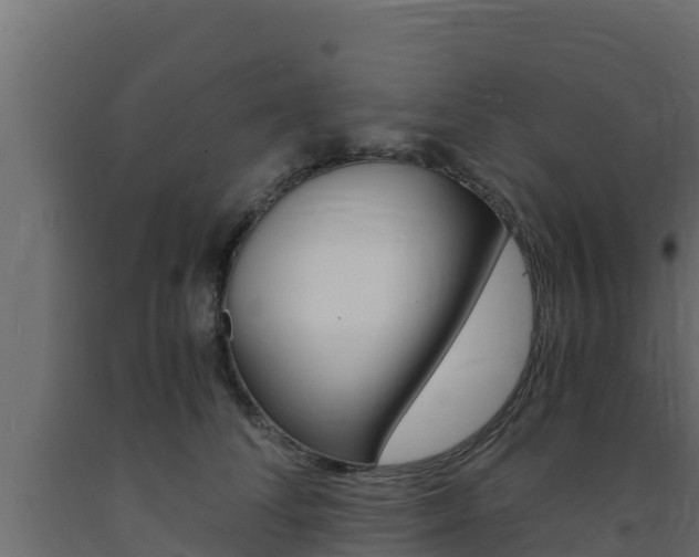 X0000093730708200710160813