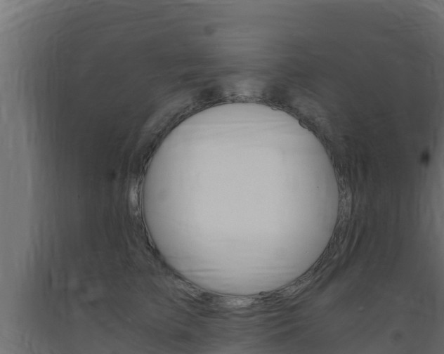 X0000093730709200710160813