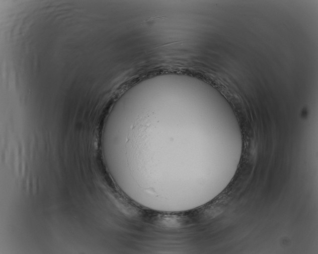 X0000093730710200710160813