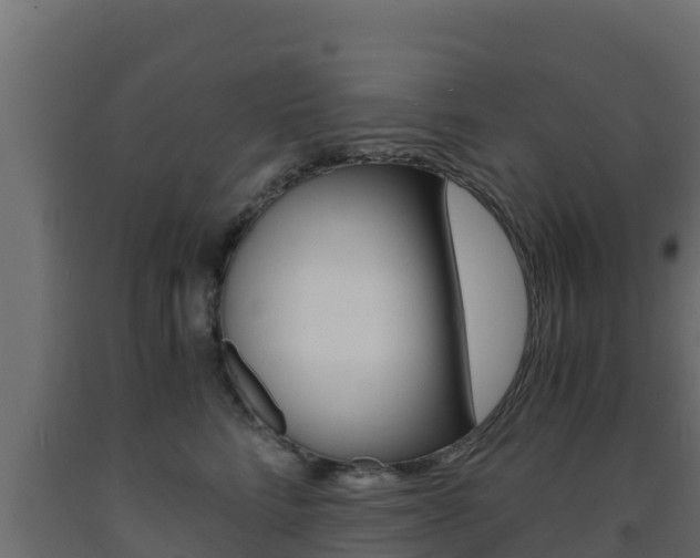 X0000093730712200710160813