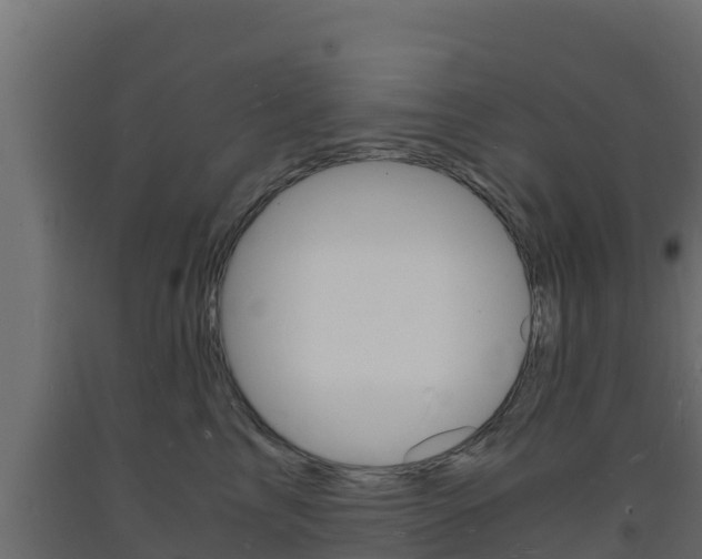 X0000093730713200710160813