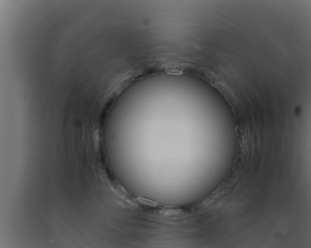 X0000093730716200710160813