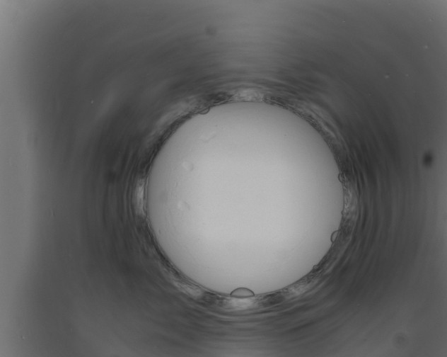 X0000093730717200710160813
