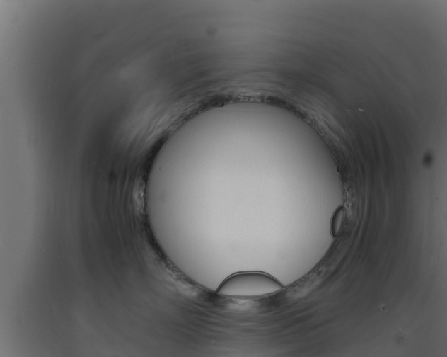 X0000093730718200710160813
