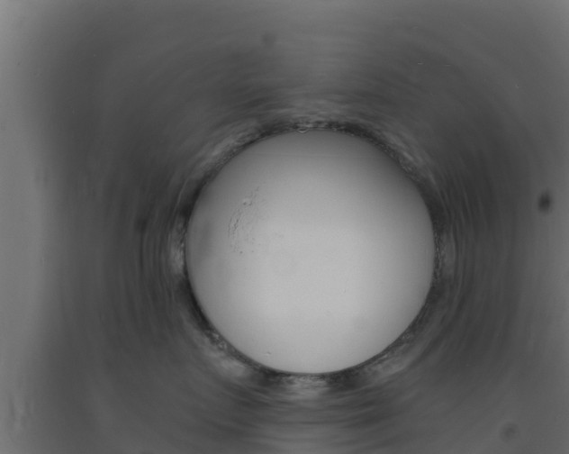 X0000093730719200710160813