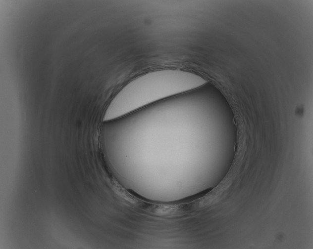 X0000093730720200710160813