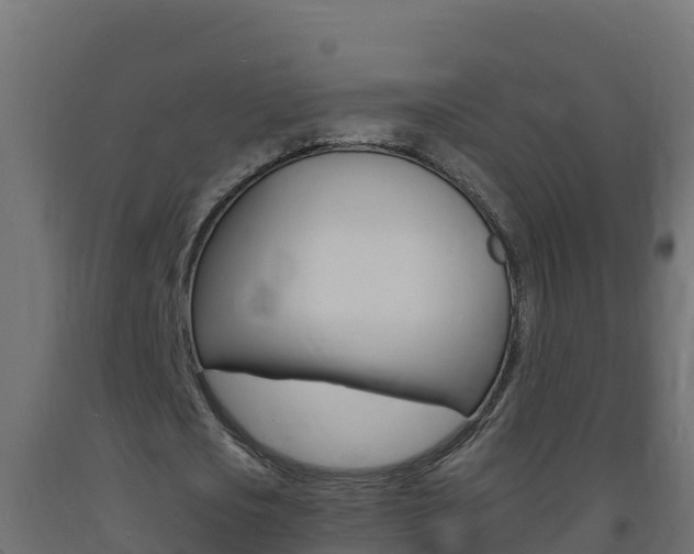 X0000093730721200710160813