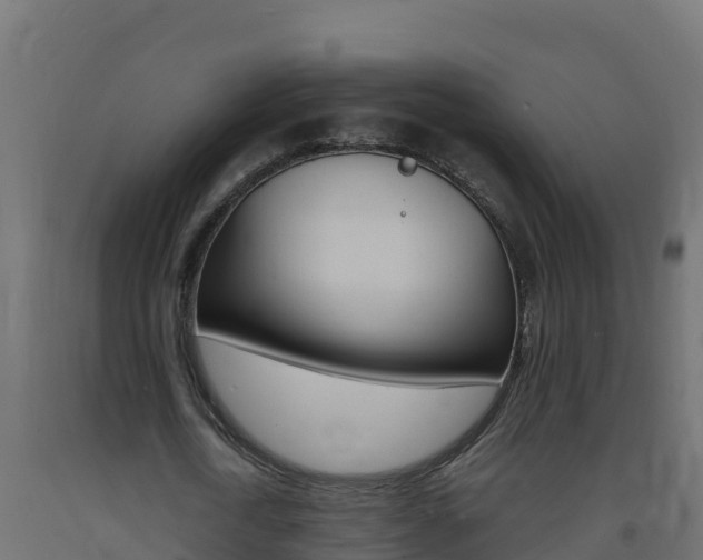 X0000093730722200710160813