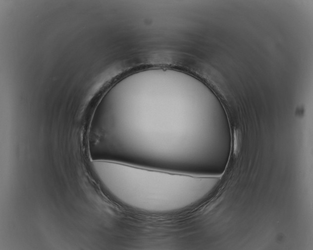 X0000093730723200710160813
