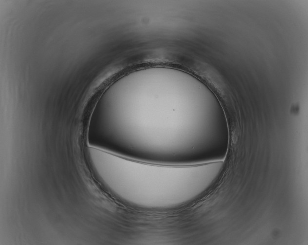 X0000093730724200710160813