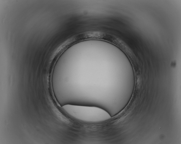X0000093730725200710160813