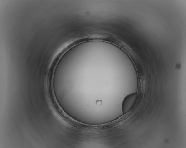 X0000093730726200710160813
