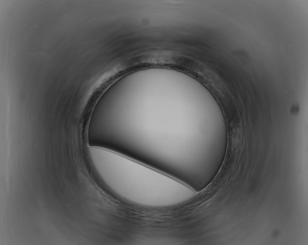 X0000093730727200710160813