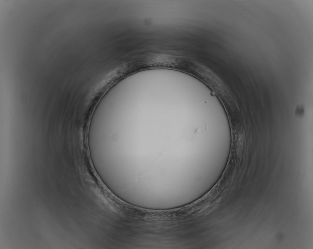 X0000093730729200710160813