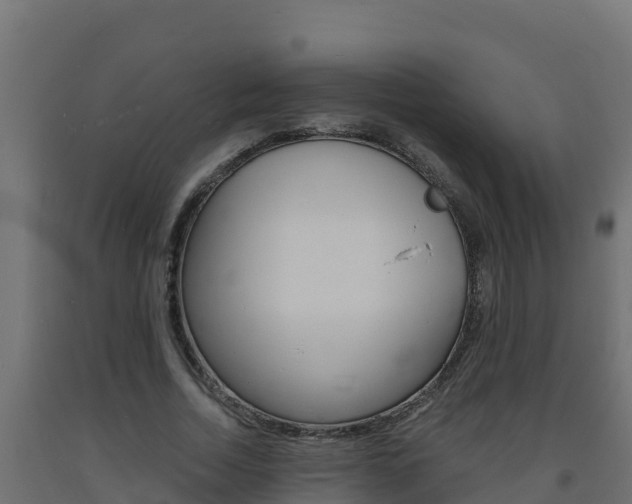 X0000093730730200710160813