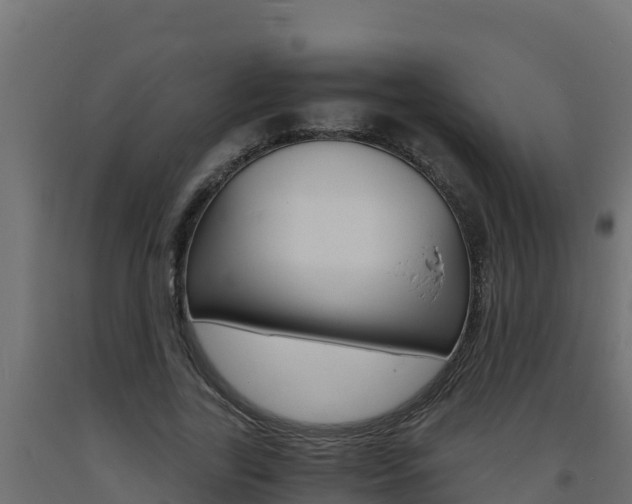 X0000093730731200710160813