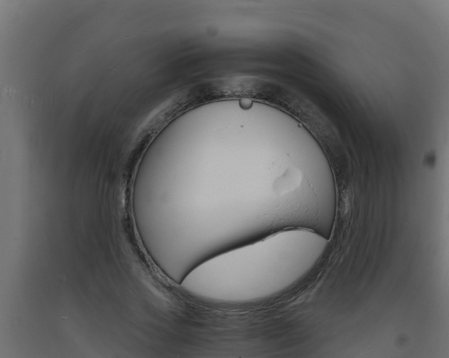 X0000093730733200710160813