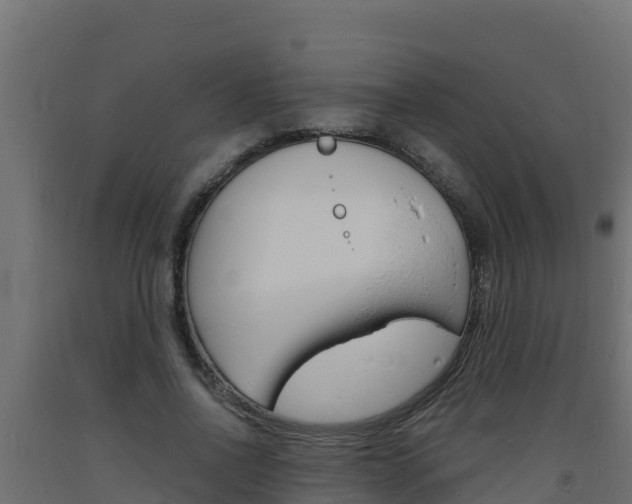 X0000093730734200710160813